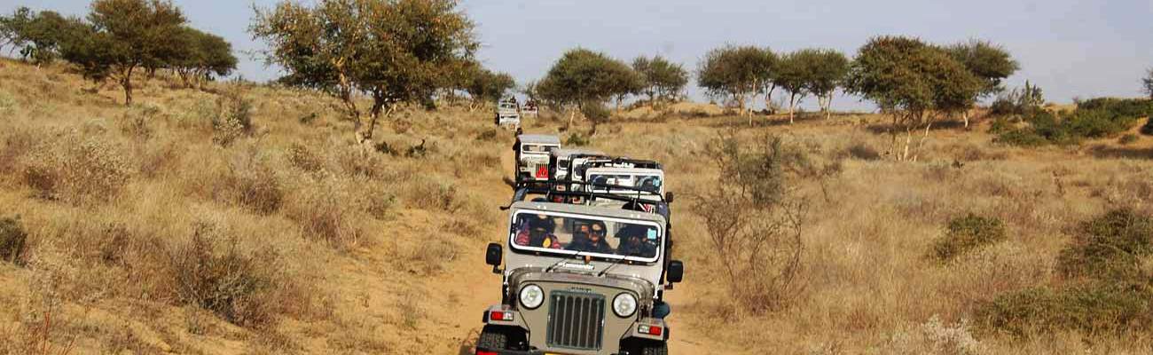 Bishnoi village _jeep_safari