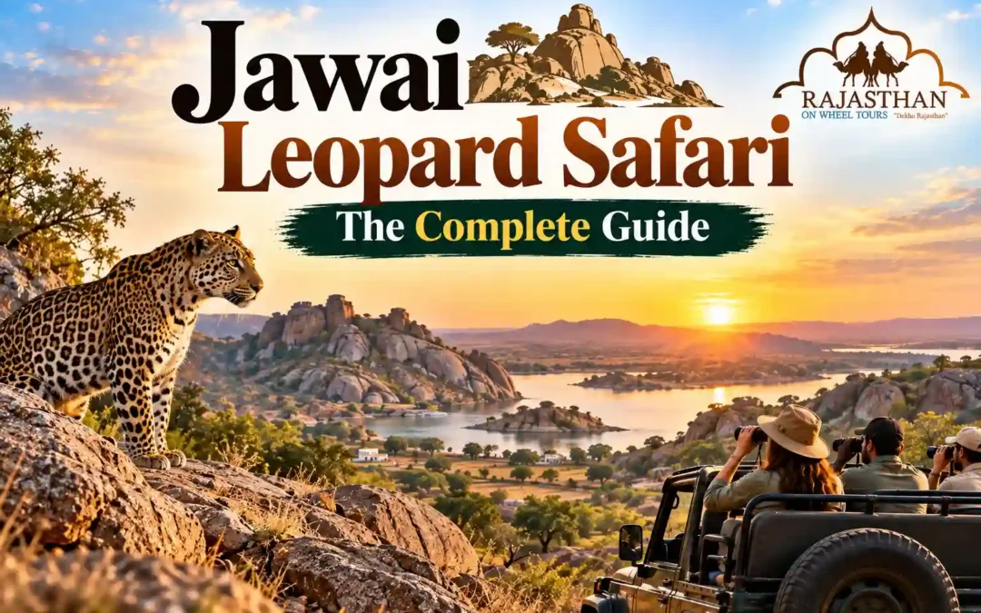 Jawai Leopard Safari The Complete Guide