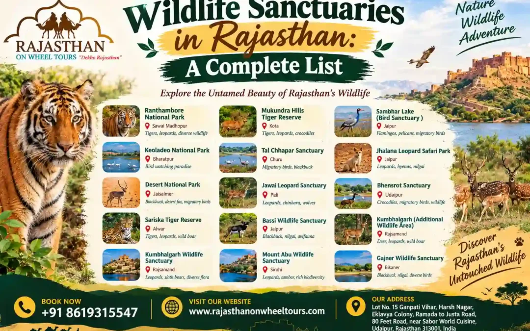 Wildlife Sanctuaries in Rajasthan: A Complete List